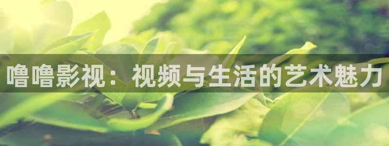 收获之夜西瓜影院