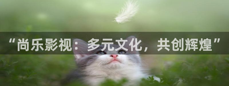 西瓜资源在线