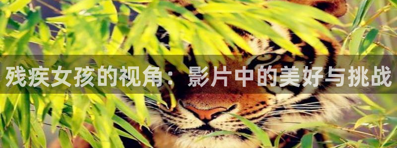 在线观看西瓜影院