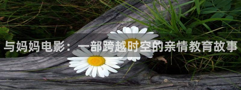 西瓜影院在线电视剧免费观看