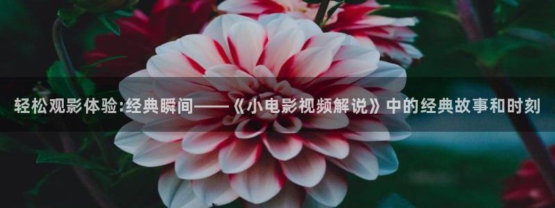 北京西瓜
