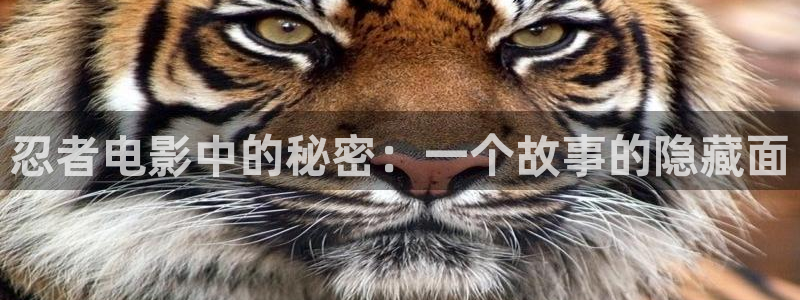 西瓜成人在线观看