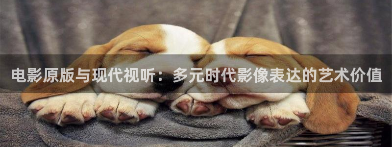 西瓜电影全部