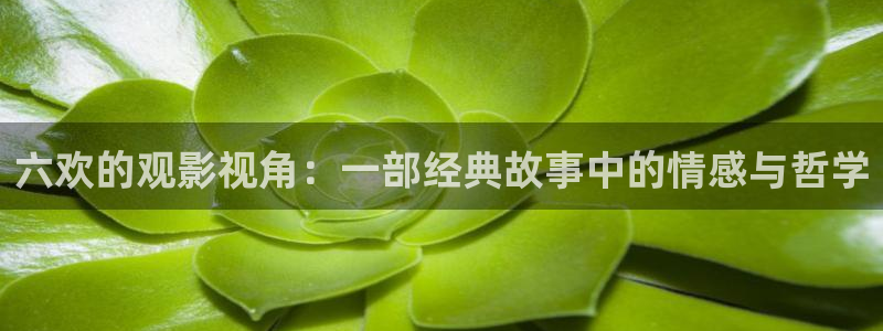西瓜电影在线