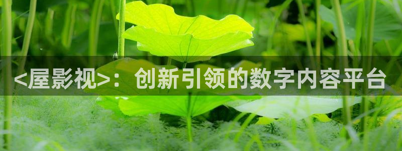 冰火魔厨免费观看完整版西瓜