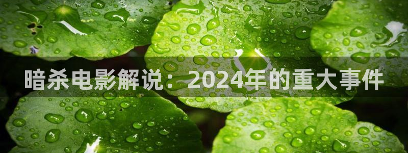 瞄准电视剧在线观看免费西瓜影院