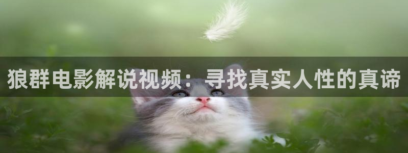 西瓜影院在线入口免费观看