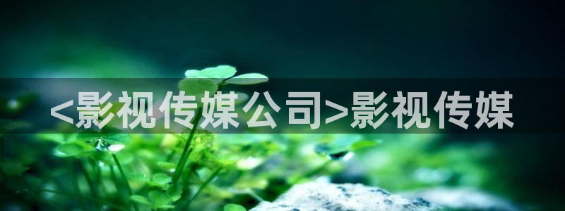 特警力量完整版免费观看西瓜