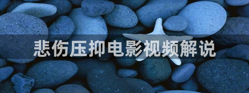西瓜视频网站在线观看