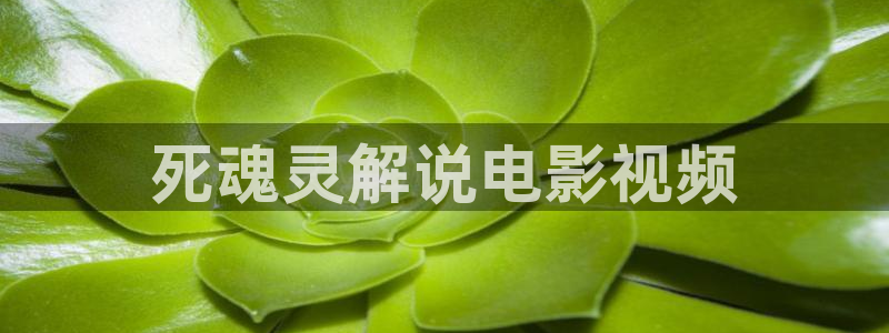 天生一对免费观看完整版西瓜