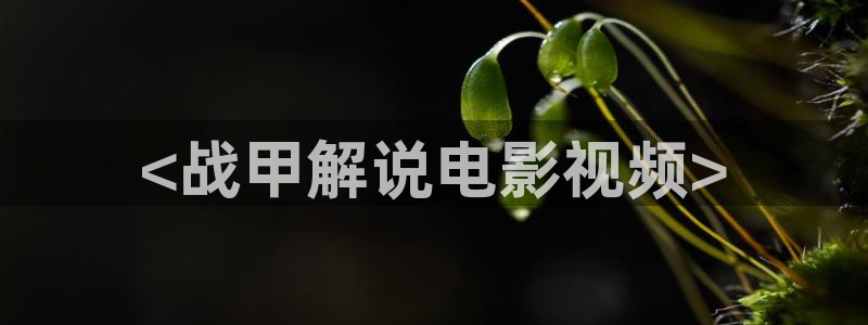 西瓜动漫