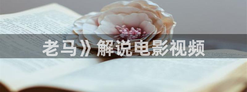 西瓜体育直播在线观看