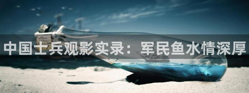 红楼梦87版在线观看西瓜