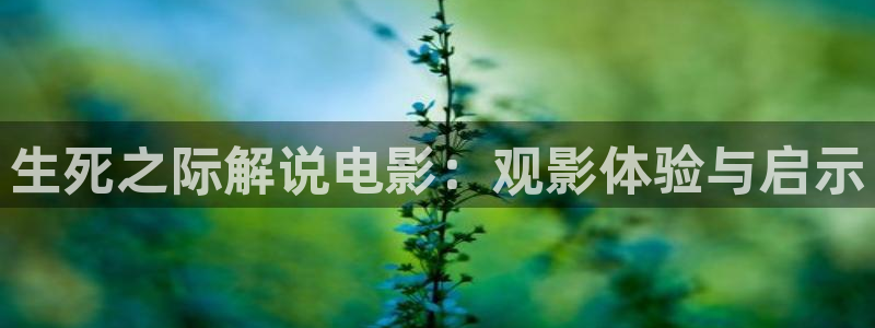 西瓜影院在线播放观看