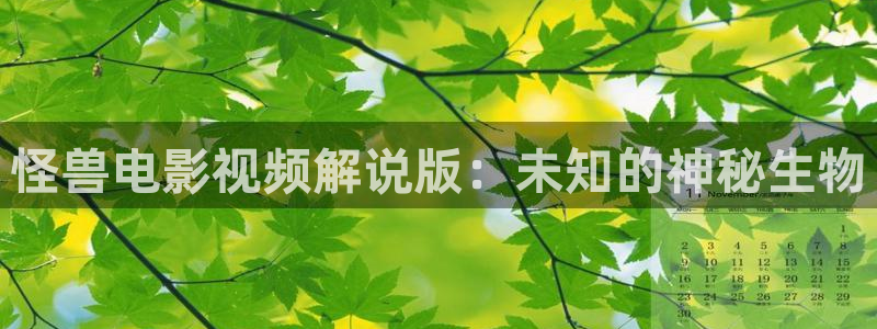 巡回检察组西瓜影院