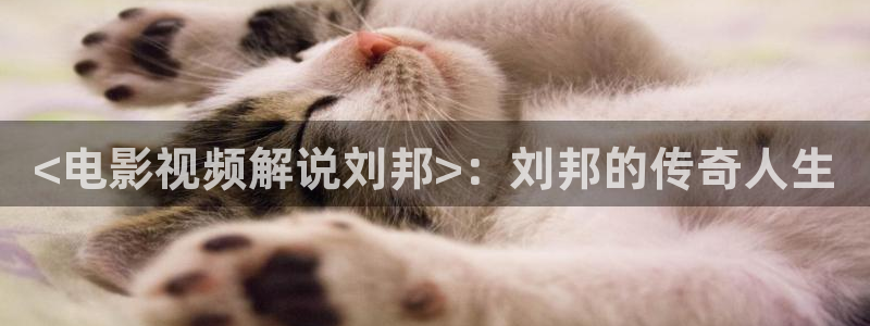 西瓜视频官方