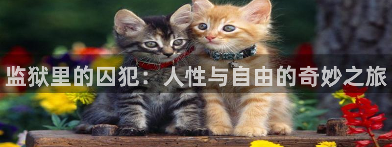 西瓜老师