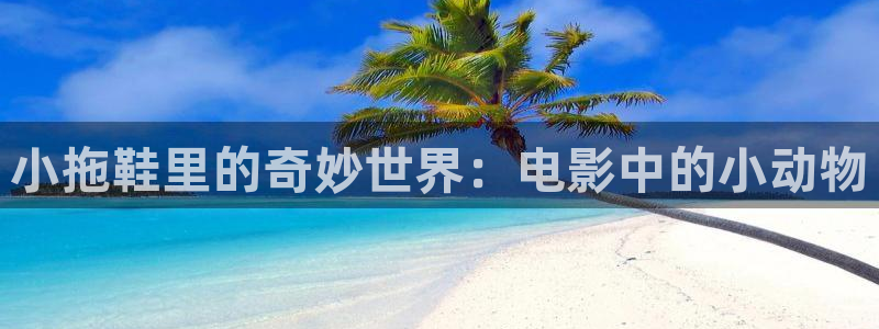 717影院在线观看免费播放电视剧西瓜