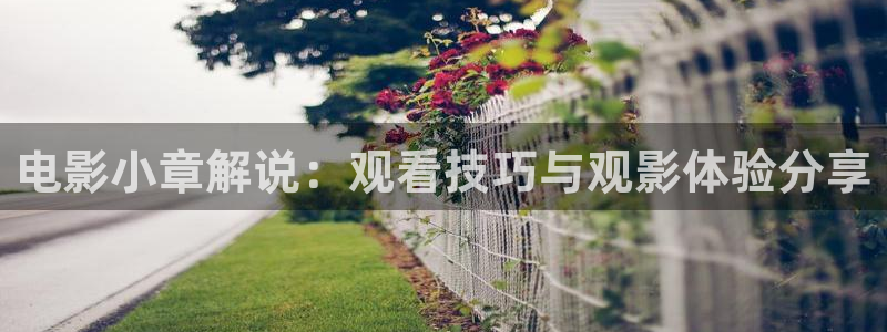 西瓜照片
