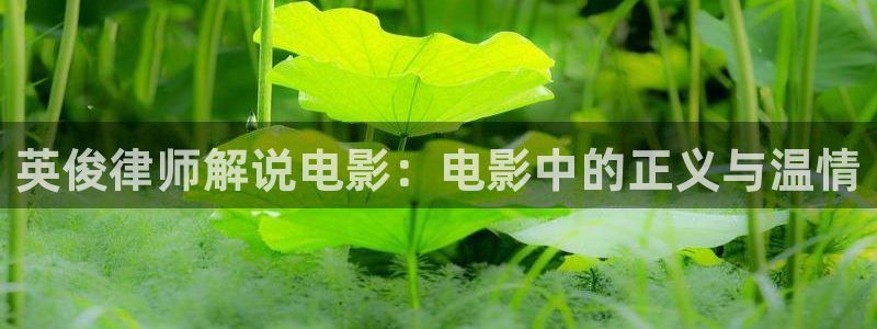 西瓜免费视