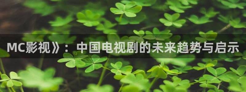 枪花全集免费观看西瓜