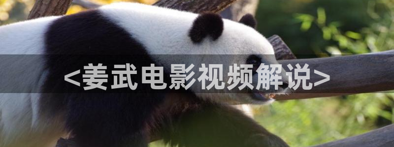 西瓜网在线
