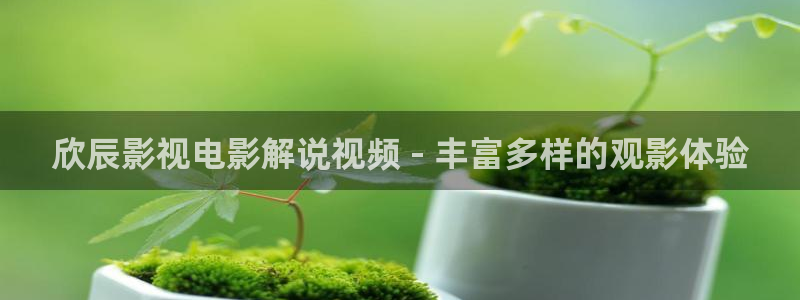 西瓜电影免费观看