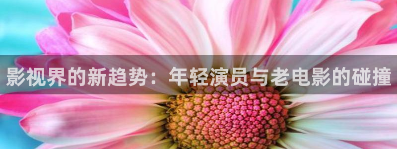 大庆西瓜：影视界的新趋势：年轻演员与老电影的碰撞