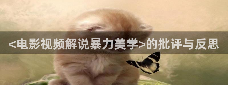海贼王在线西瓜：<电影视频解说暴力美学>的批评与反思