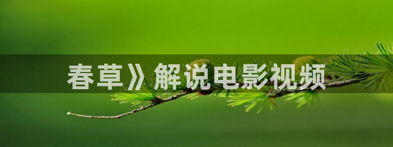 泉州西瓜：春草》解说电影视频