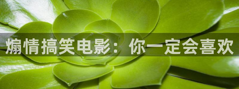 西瓜视频在线观看电视：煽情搞笑电影：你一定会喜欢