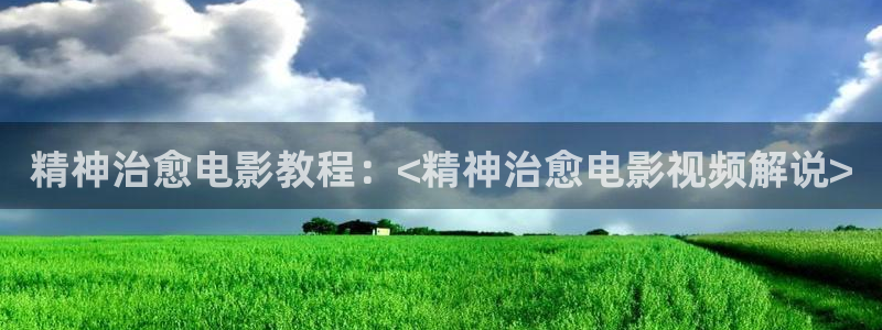 飘雪电影电视剧西瓜：精神治愈电影教程：<精神治愈电影视频解说>