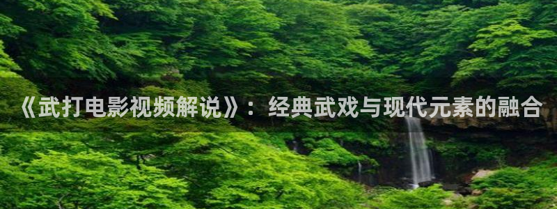 西瓜扶风：《武打电影视频解说》：经典武戏与现代元素的融合