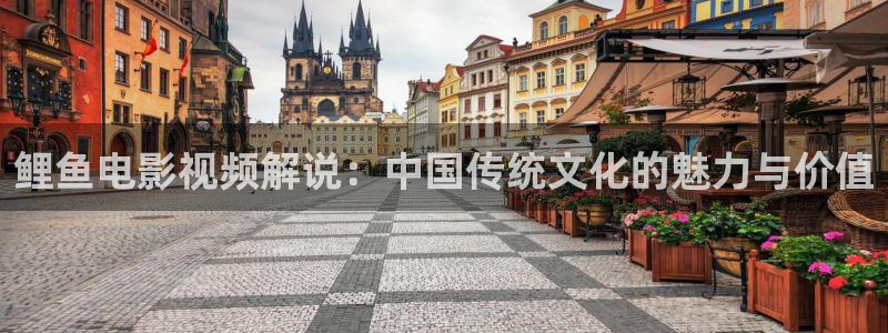 披荆斩棘第二季免费观看西瓜：鲤鱼电影视频解说：中国传统文化的魅力与价值