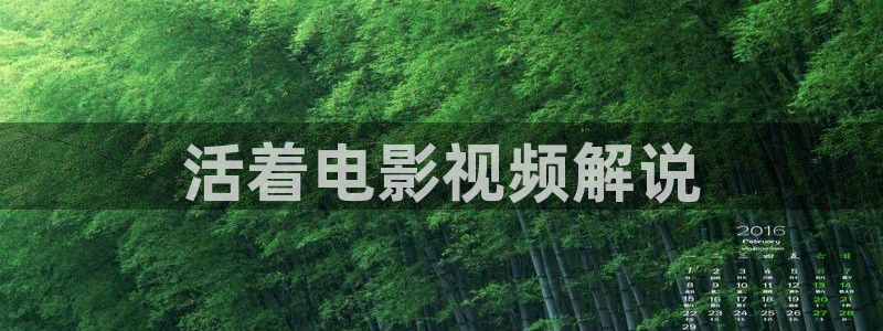 三奸西瓜影院：活着电影视频解说