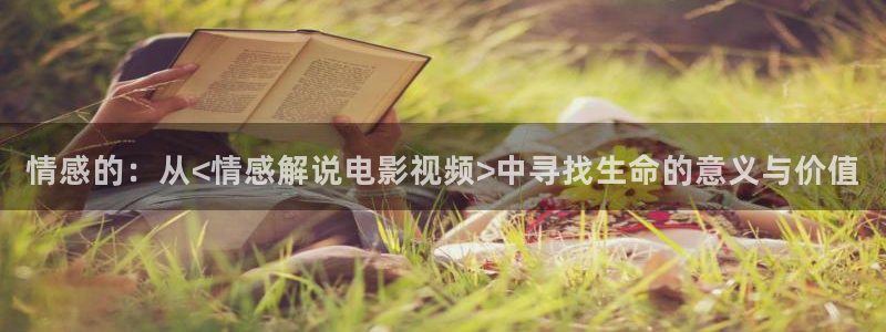 午夜电影网西瓜影院：情感的：从<情感解说电影视频>中寻找生命的意义与价值