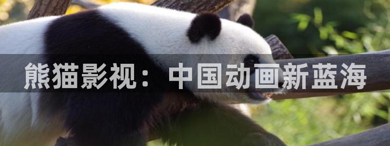 西瓜免费影院：熊猫影视：中国动画新蓝海