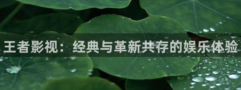 西瓜影院在线观看免费高清电视剧我：王者影视：经典与革新共存的娱乐体验