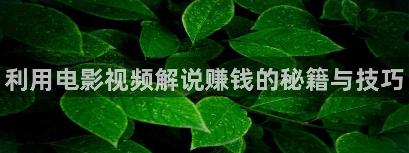 西瓜最新电影在线观看：利用电影视频解说赚钱的秘籍与技巧