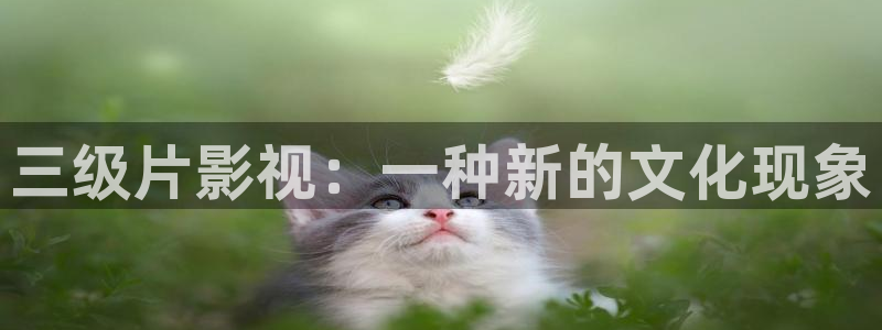 西瓜影院午夜片：三级片影视：一种新的文化现象