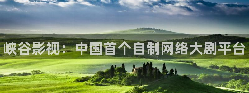 西瓜影院免费观看在线电视剧的软件：峡谷影视：中国首个自制网络大剧平台