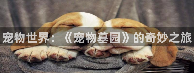 玉楼春在线观看免费完整版西瓜