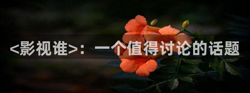 西瓜影院免费在线：<影视谁>：一个值得讨论的话题