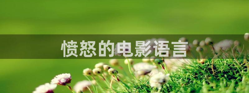 西瓜影院高清午夜：愤怒的电影语言
