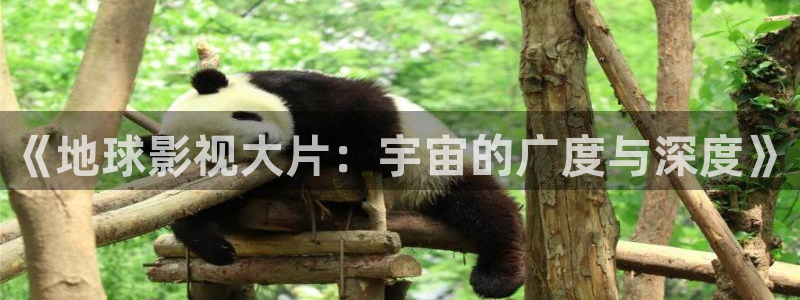 落地请开手机免费观看完整版西瓜：《地球影视大片：宇宙的广度与深度》