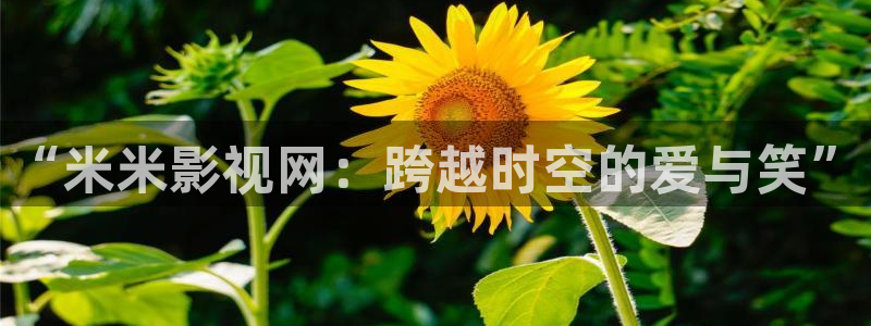 西瓜免费看电影：“米米影视网：跨越时空的爱与笑”