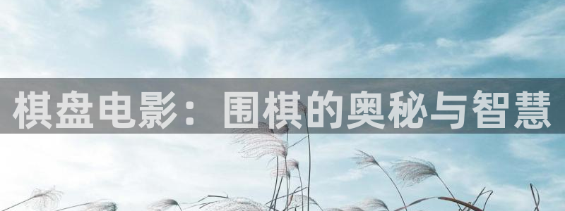 士兵突击在线观看免费西瓜：棋盘电影：围棋的奥秘与智慧