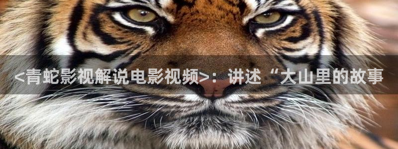 杭州西瓜：<青蛇影视解说电影视频>：讲述“大山里的故事