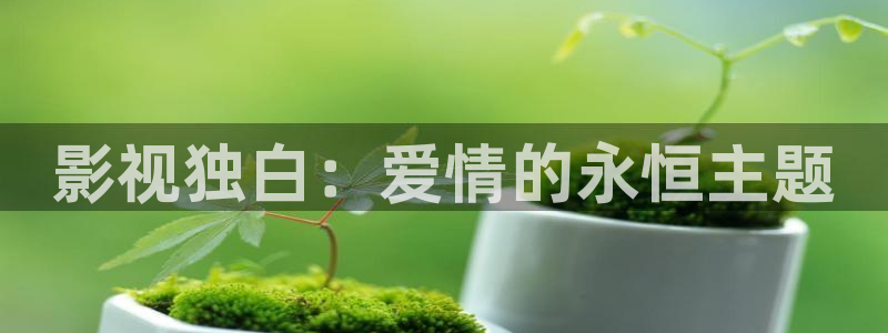 西瓜影院电影免费看：影视独白：爱情的永恒主题