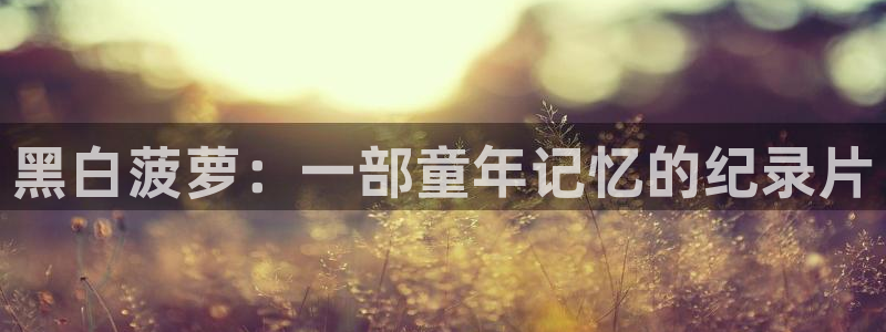 西瓜视频安装：黑白菠萝：一部童年记忆的纪录片